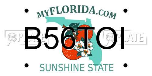 B56TOI Florida License Plate