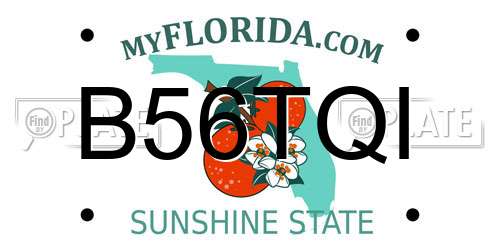 B56TQI Florida License Plate