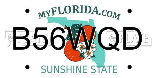 B56WQD Florida License Plate