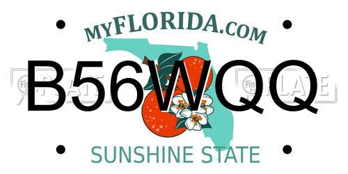 B56WQQ Florida License Plate