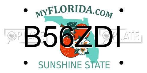 B56ZDI Florida License Plate