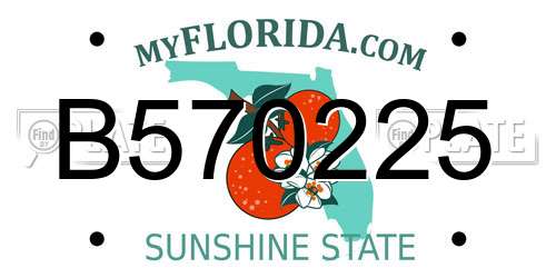 B570225 Florida License Plate