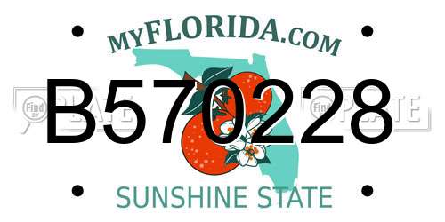 B570228 Florida License Plate