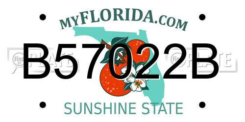 B57022B Florida License Plate