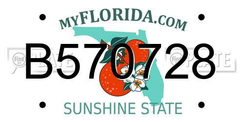 B570728 Florida License Plate