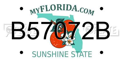 B57072B Florida License Plate