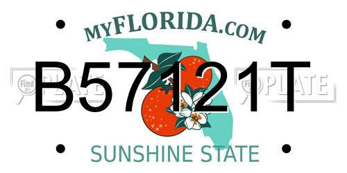 B57121T Florida License Plate