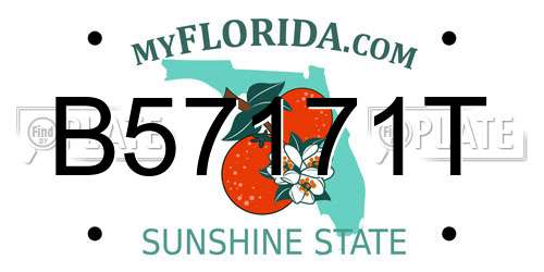 B57171T Florida License Plate