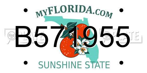 B571955 Florida License Plate