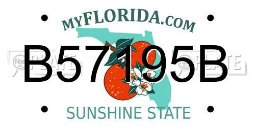 B57195B Florida License Plate