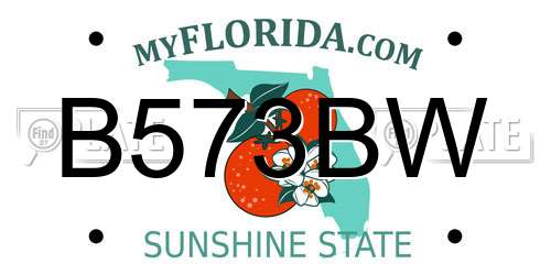 B573BW Florida License Plate