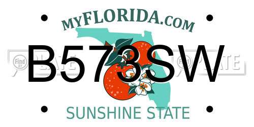 B573SW Florida License Plate