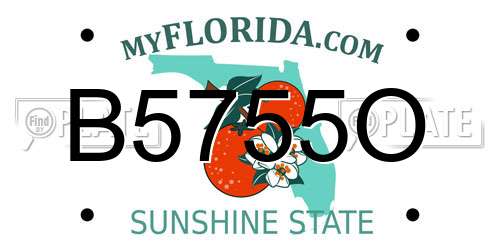 B5755O Florida License Plate