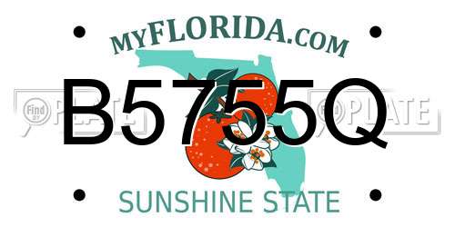 B5755Q Florida License Plate
