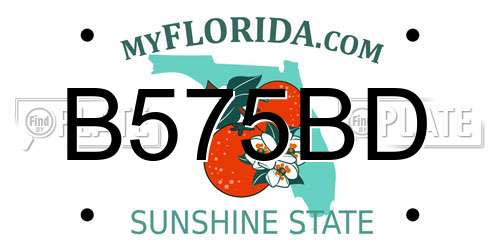 B575BD Florida License Plate