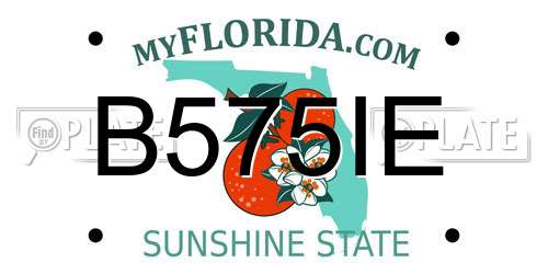B575IE Florida License Plate