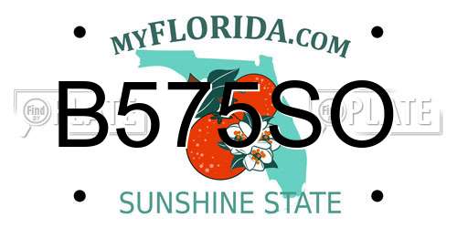 B575SO Florida License Plate