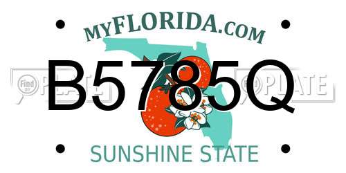 B5785Q Florida License Plate