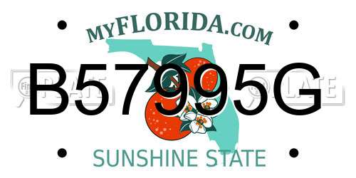 B57995G Florida License Plate
