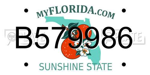 B579986 Florida License Plate