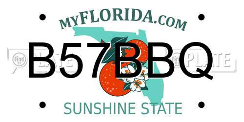 B57BBQ Florida License Plate