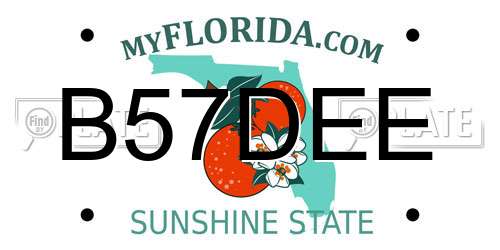 B57DEE Florida License Plate