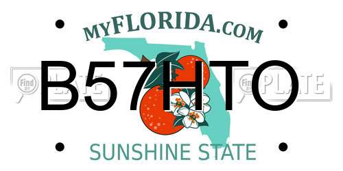 B57HTO Florida License Plate