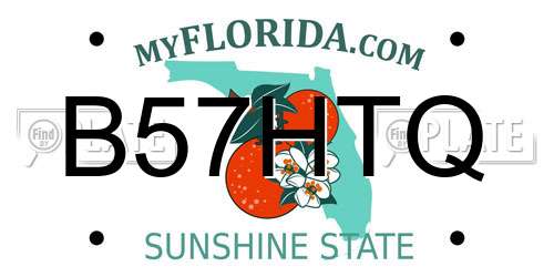 B57HTQ Florida License Plate
