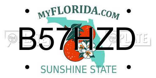 B57HZD Florida License Plate