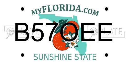 B57OEE Florida License Plate