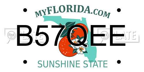 B57QEE Florida License Plate