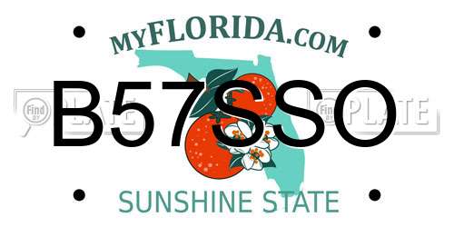 B57SSO Florida License Plate
