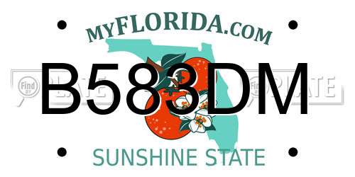 B583DM Florida License Plate