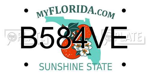 B584VE Florida License Plate
