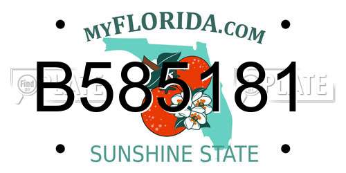 B585181 Florida License Plate