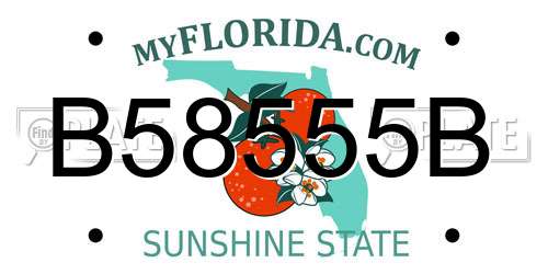 B58555B Florida License Plate