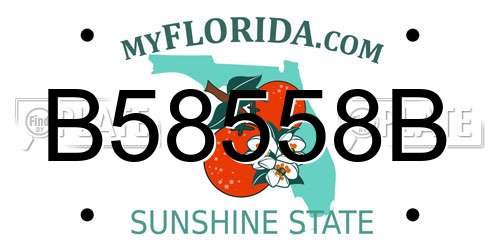 B58558B Florida License Plate