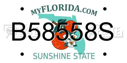 B58558S Florida License Plate