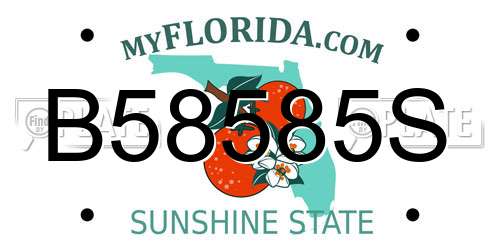 B58585S Florida License Plate