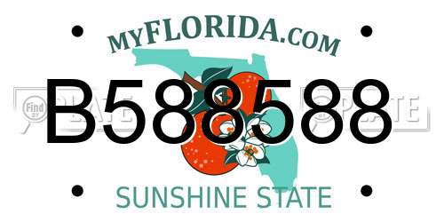 B588588 Florida License Plate