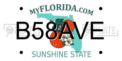 B58AVE Florida License Plate