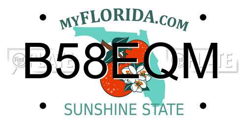 B58EQM Florida License Plate