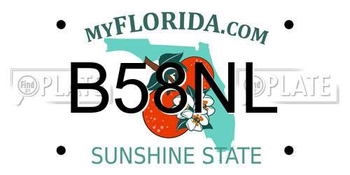 B58NL Florida License Plate