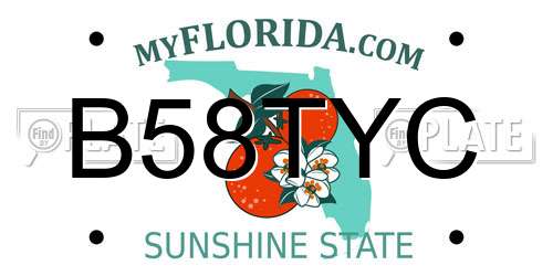 B58TYC Florida License Plate