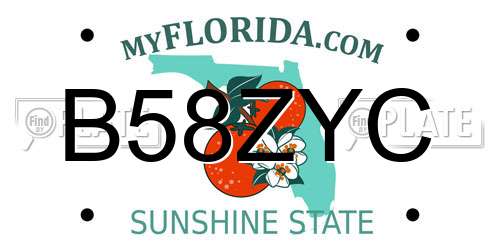 B58ZYC Florida License Plate