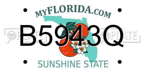 B5943Q Florida License Plate