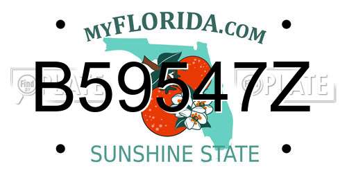 B59547Z Florida License Plate