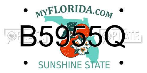 B5955Q Florida License Plate