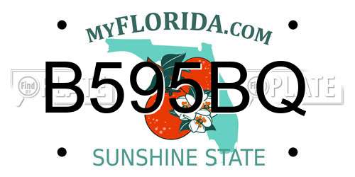 B595BQ Florida License Plate