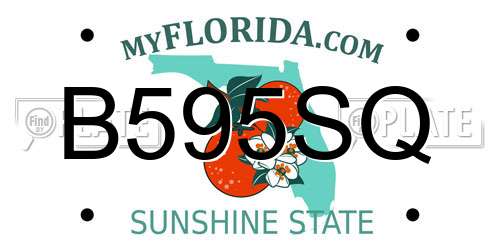 B595SQ Florida License Plate